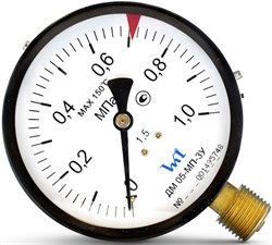 Манометр радиальный Стеклоприбор ДМ 05-МП-3У, размер 1/2", ф 100 мм, 0.6 МПа - фото 77517
